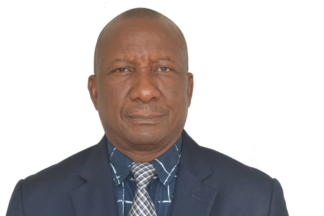 Portrait of Bode Adediji